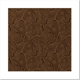 Topographic Map Pattern Brown Version Posters and Art